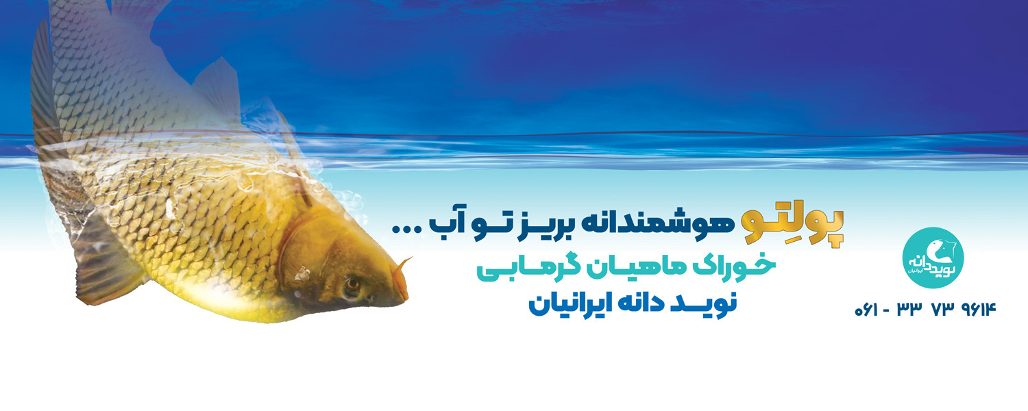 بیلبورد بین شهری شرکت نوید دانه ایرانیان